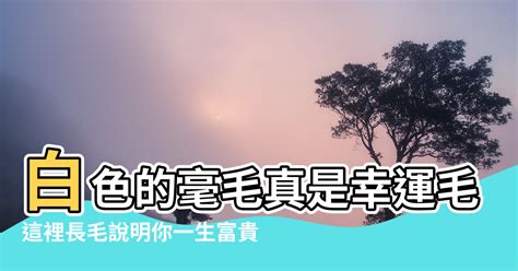 手臂長白色的毛